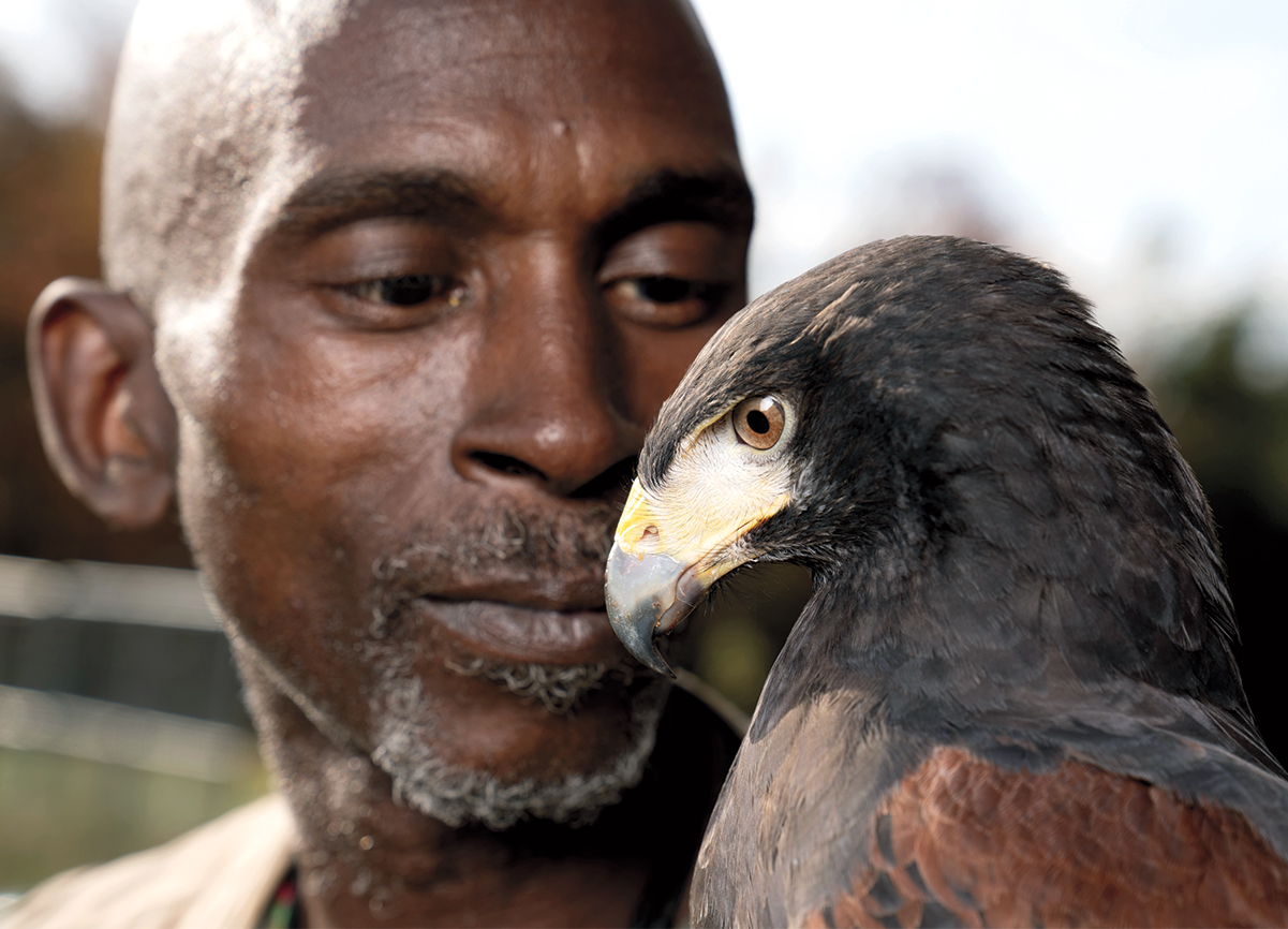 The Faith of a Falconer