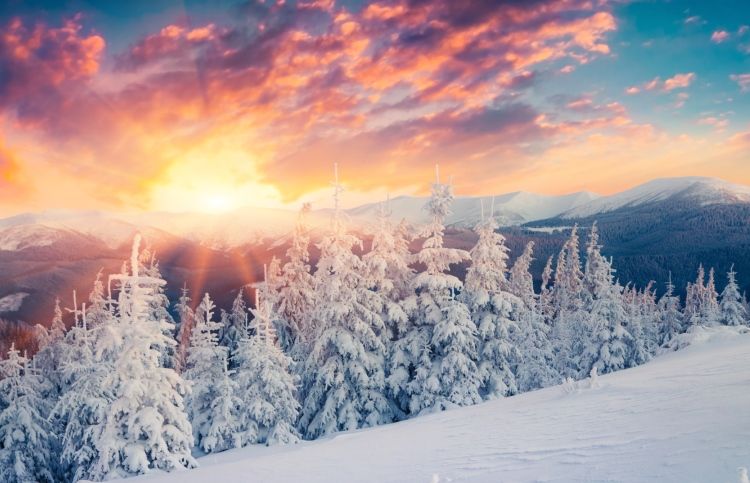 6 Steps to Live Your Best Life