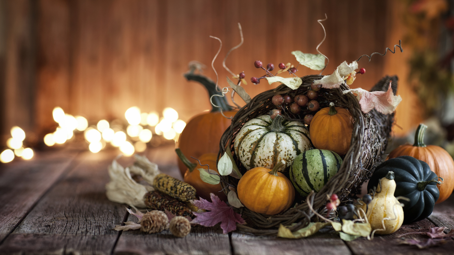 3 Ways to Celebrate ‘Plenty’ This Thanksgiving