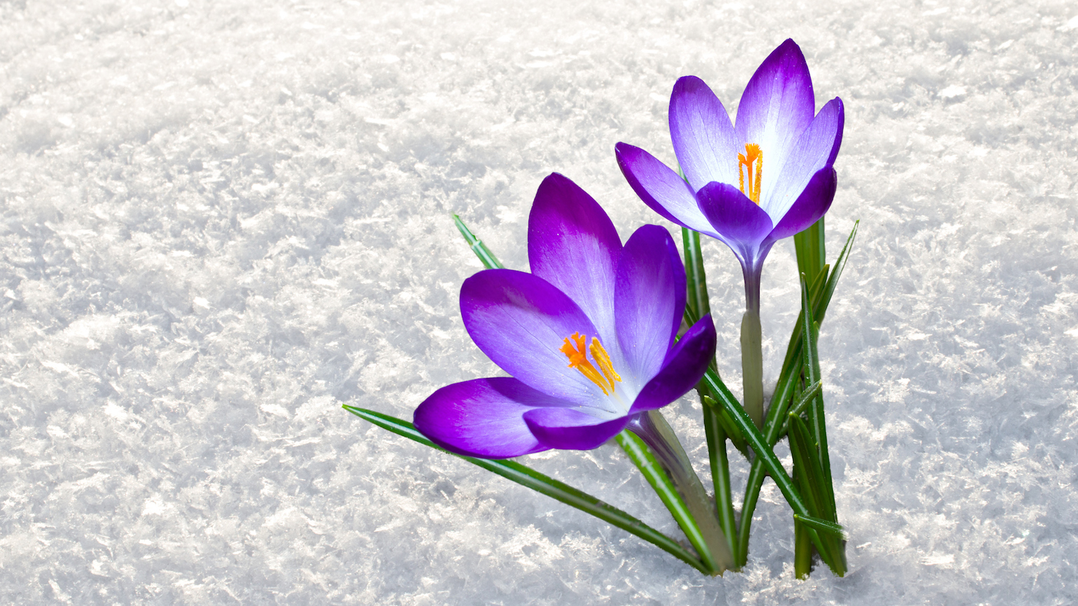 How Hardship Can Give Us the Tools to Do Good