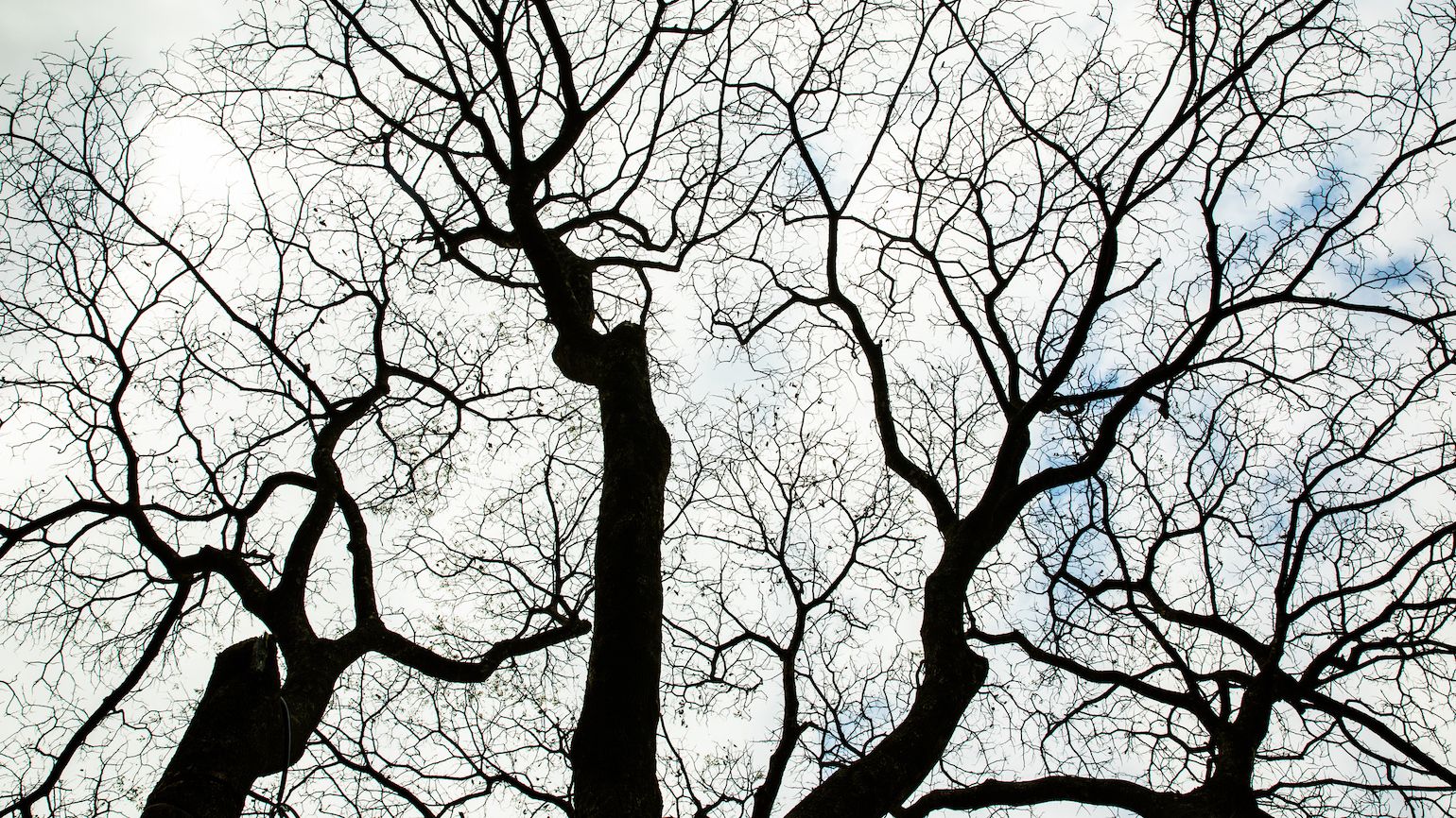 When God Sends You in an Unexpected Direction