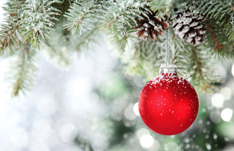 Christmas: Waiting in Hope