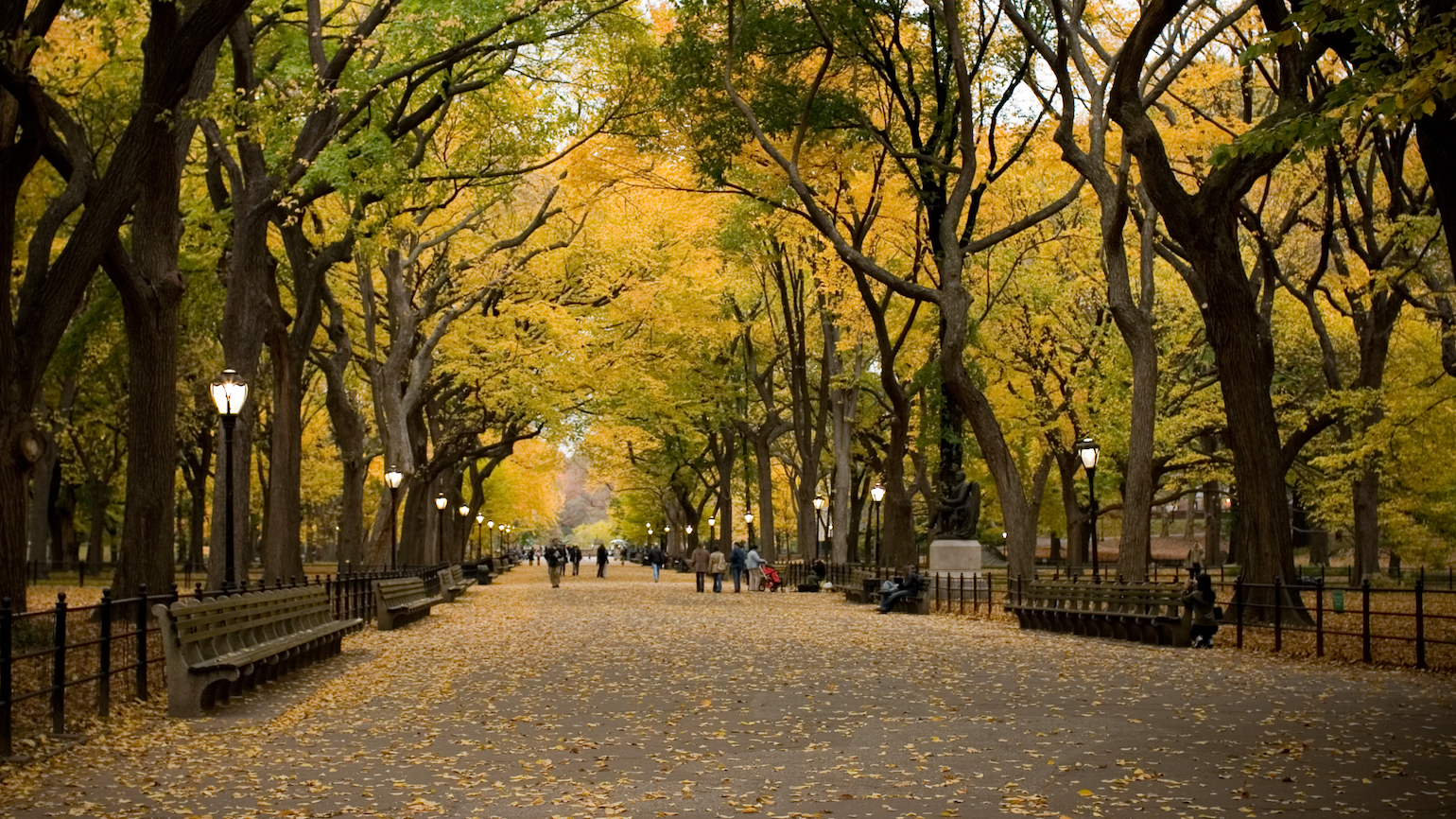 Why You Should Walk and Pray at the Same Time