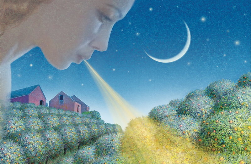 Her Prayer for the Orange Trees