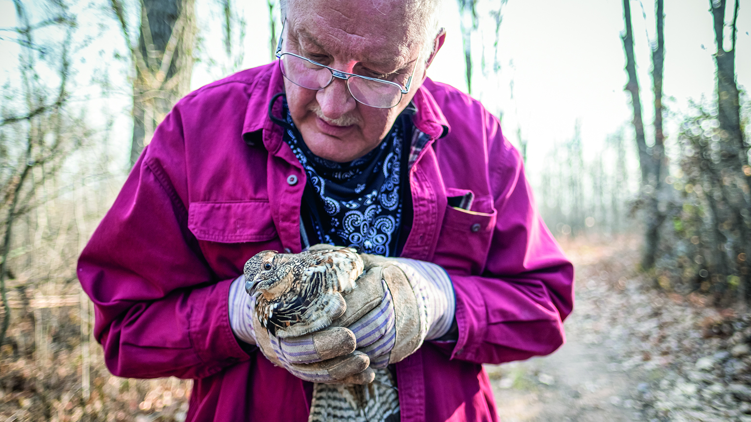 How a Ruffed Grouse Became This Grieving Husband’s Best Friend