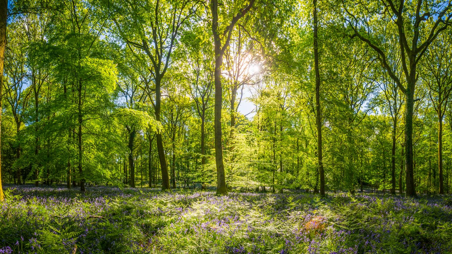 What Are Your Spiritual Magnets?